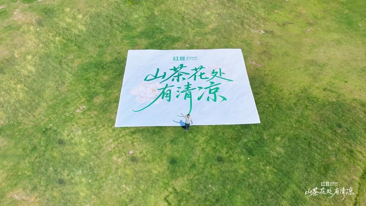 紅豆棉山茶花1